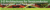 [Thumbnail]